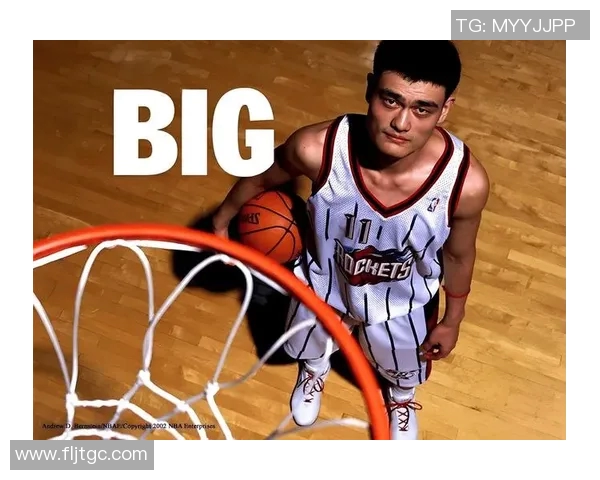 姚明np图展现篮球巨星风采与艺术魅力的完美结合