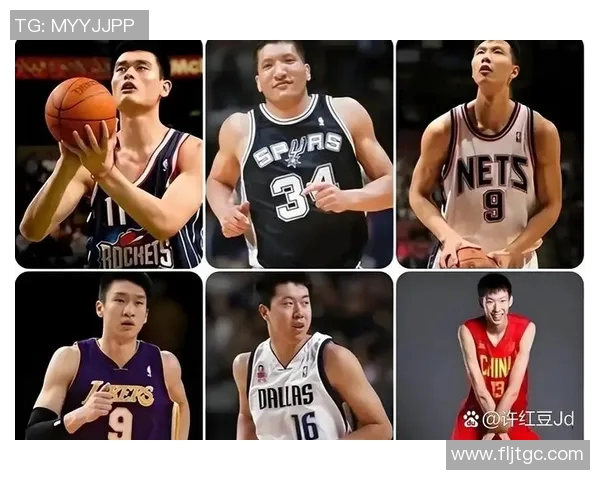 娱乐明星与篮球明星