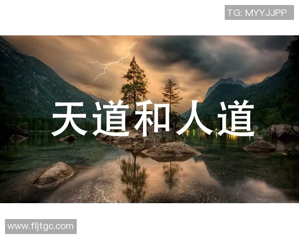 探索塞飞亚的魅力与奥秘揭示其在现代文化中的独特地位与影响力